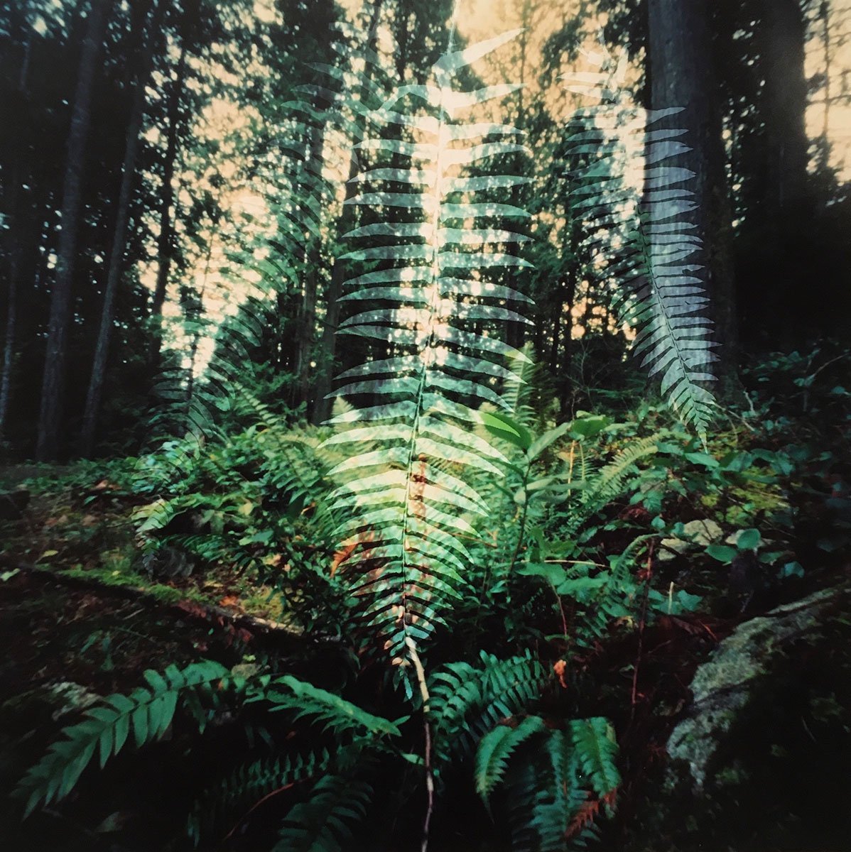 Artwork 1